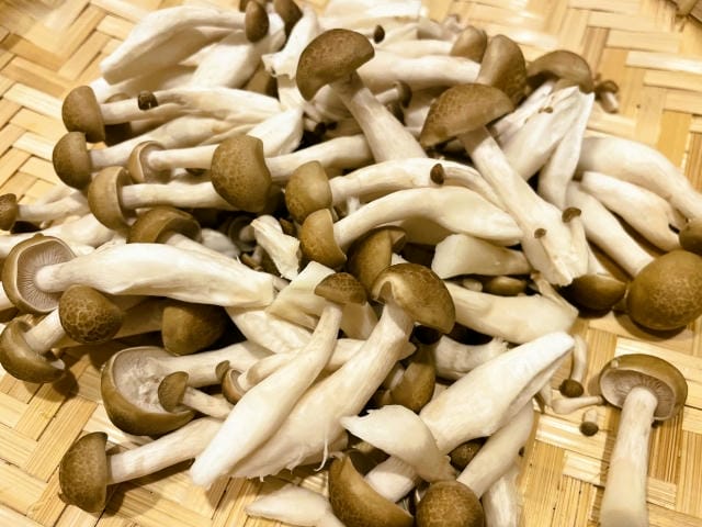 しめじを冷凍すると黄色くなるのはなぜ?変色の原因と腐敗との違い
