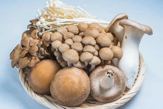 しめじとしいたけの違いとは？味や栄養素の違いと使い分けるポイント