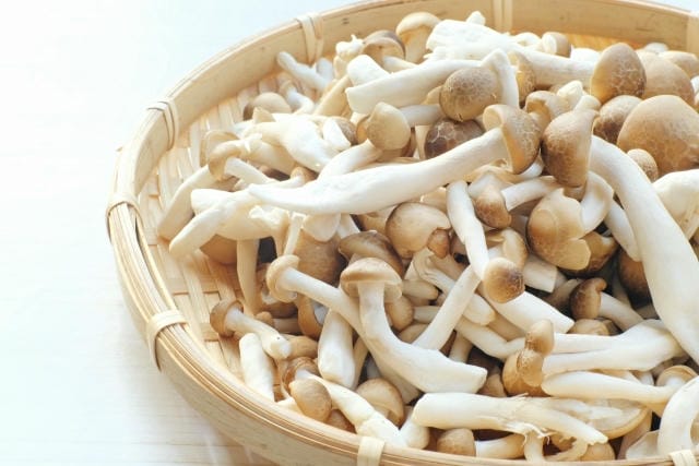 しめじの根元が黒い原因はなに?黒くなる理由と腐敗との見分け方