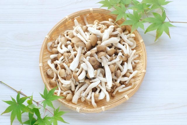 しめじが水っぽいけど食べれるの?水っぽくなる原因と安全性の判断