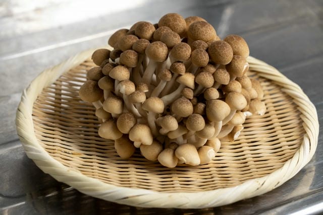 しめじが変色して茶色っぽいけど食べられる?酸化と腐敗の見分け方