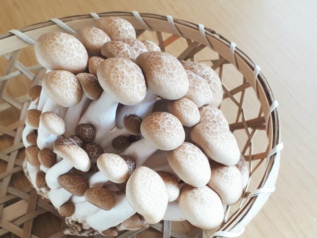 しめじで変な味がする場合の原因は?天然成分と腐敗による違いについて